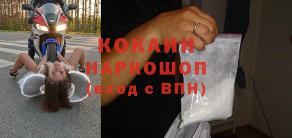 ПСИЛОЦИБИНОВЫЕ ГРИБЫ Ельня