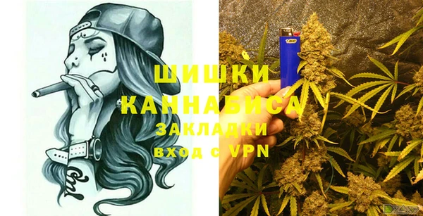 ПСИЛОЦИБИНОВЫЕ ГРИБЫ Ельня