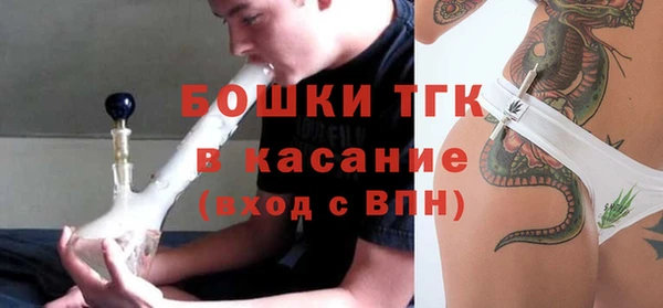 ПСИЛОЦИБИНОВЫЕ ГРИБЫ Ельня