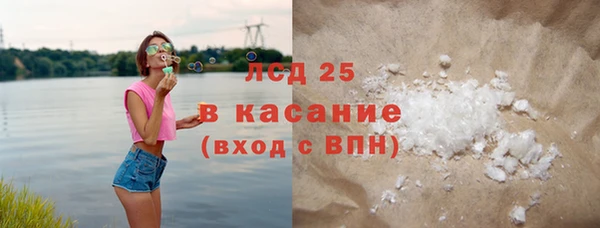 ПСИЛОЦИБИНОВЫЕ ГРИБЫ Ельня