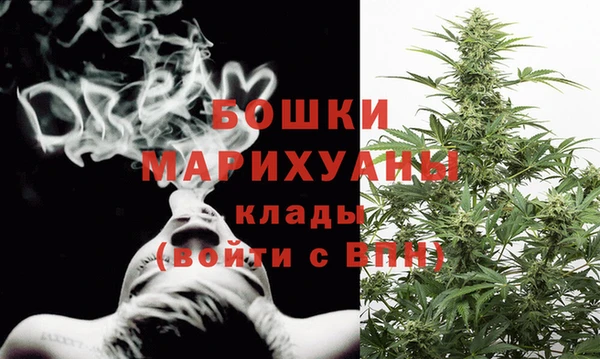 ПСИЛОЦИБИНОВЫЕ ГРИБЫ Ельня