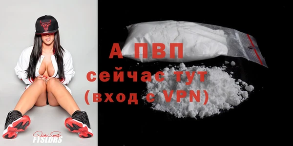 ПСИЛОЦИБИНОВЫЕ ГРИБЫ Ельня