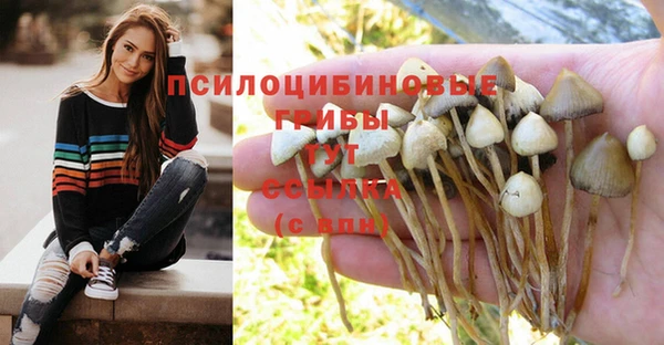 mdma Елизово