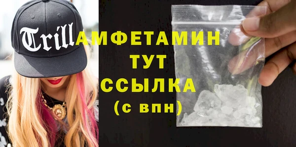 ПСИЛОЦИБИНОВЫЕ ГРИБЫ Ельня
