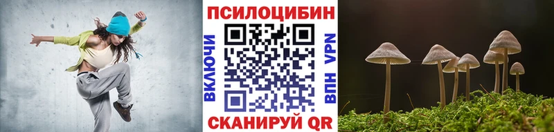 наркота  Славск  Псилоцибиновые грибы ЛСД 